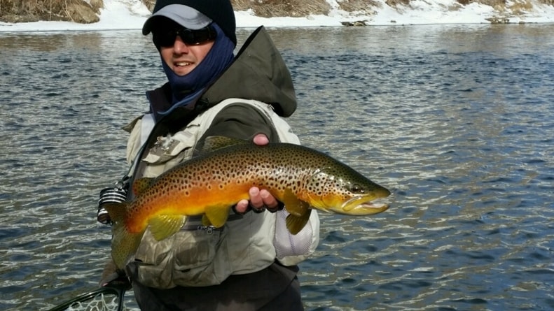 Wyoming Trout Fishing Destinations - Wyoming Anglers