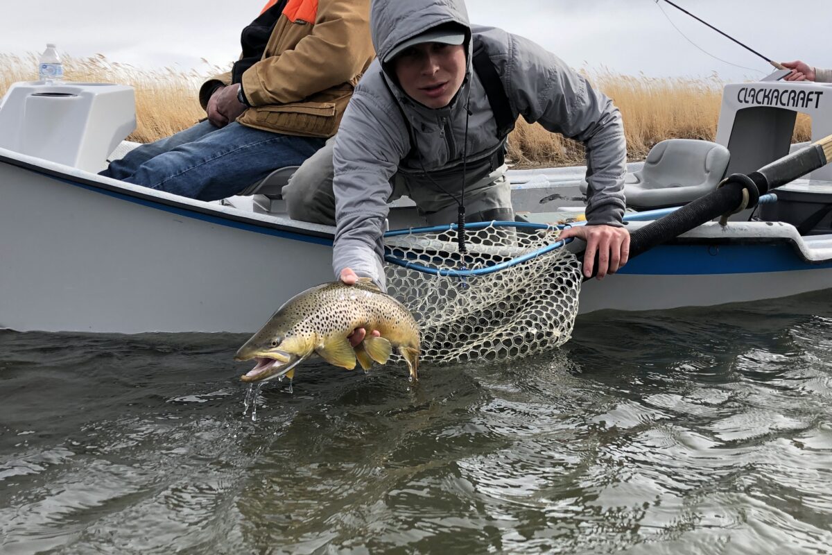 First nice trout of the year on 2lb test what a fight! : r/Fishing