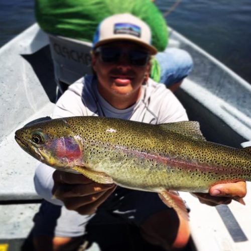 Miracle Mile Fishing Report - Wyoming Anglers