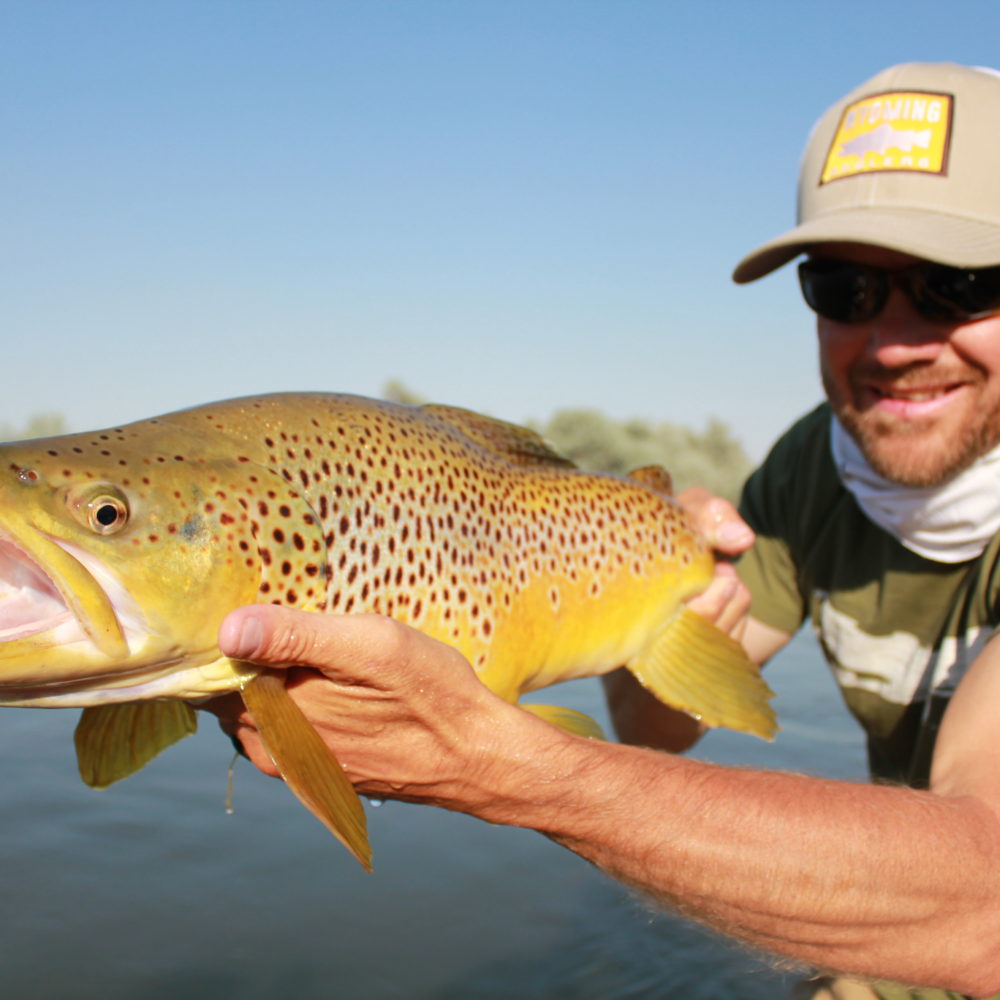 Miracle Mile Fishing Report - Wyoming Anglers